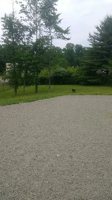 Elm Street Dog Park Picture 1