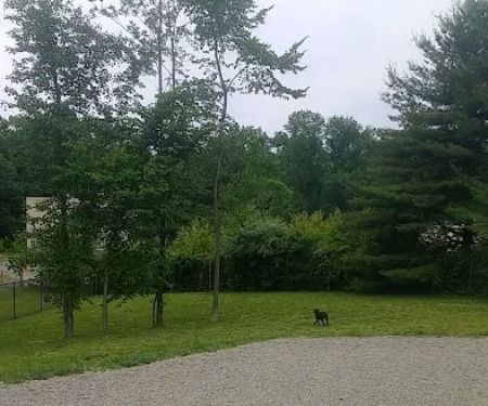 Elm Street Dog Park