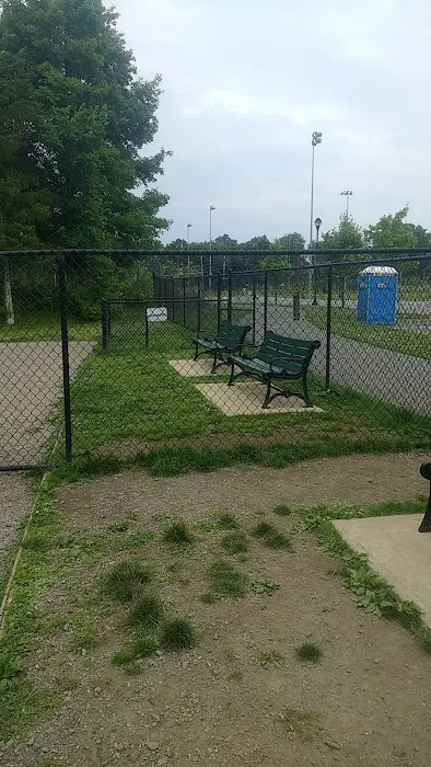 Elm Street Dog Park Picture 2