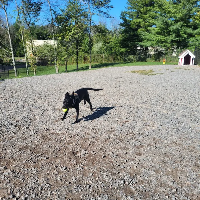 Elm Street Dog Park Picture 6