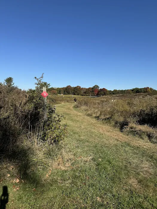 Madison Trails Picture 2