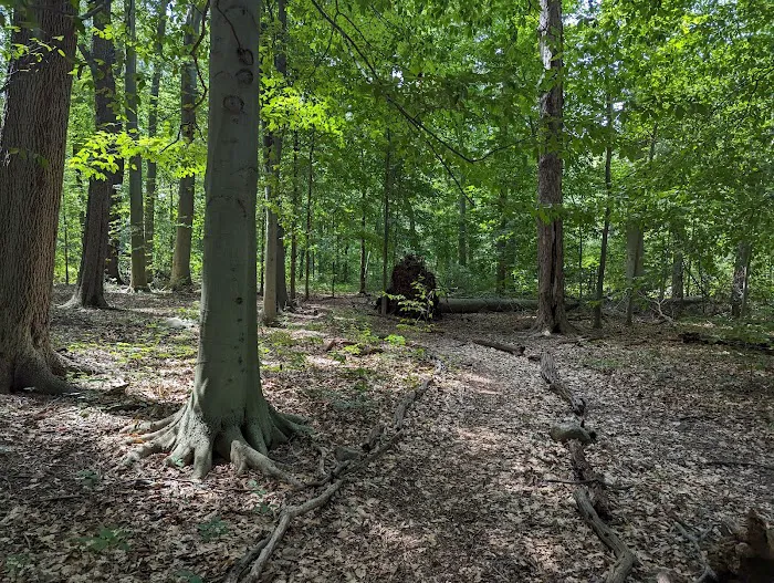 Madison Trails Picture 5