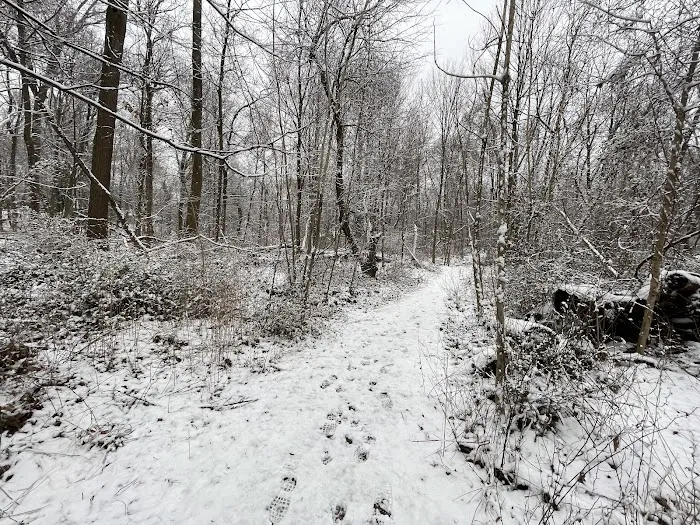 Summerhill Park Picture 6