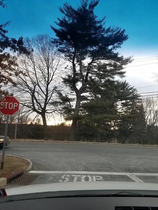 Morris Plains Recreation Picture 2