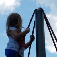 Bogue Pond Park ico