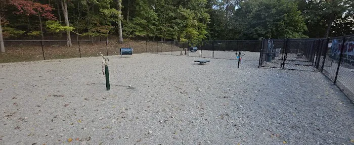 Bloomingdale Dog Park Picture 1