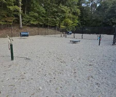 Bloomingdale Dog Park