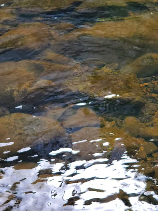 Yapewi Park Picture 1