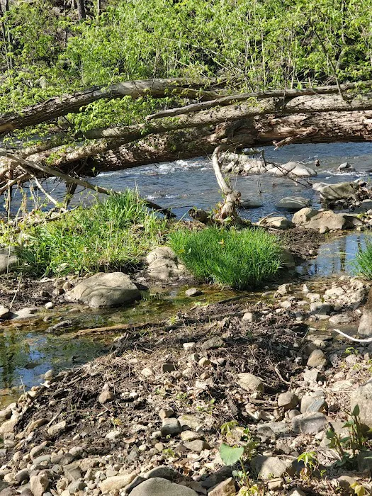 Yapewi Park Picture 4