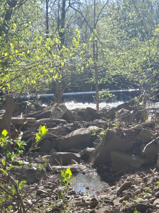 Yapewi Park Picture 7