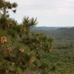 Wyanokie High Point
