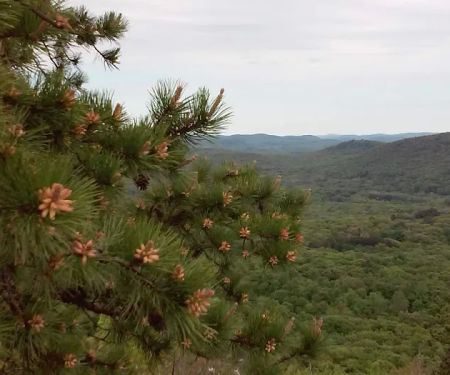 Wyanokie High Point