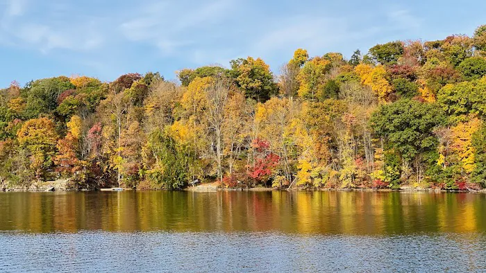 Norvin Green State Forest Picture 4