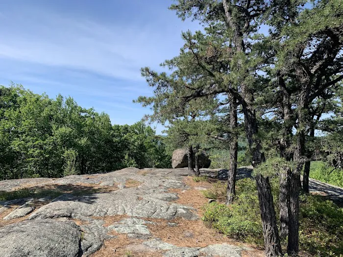 Norvin Green State Forest Picture 10