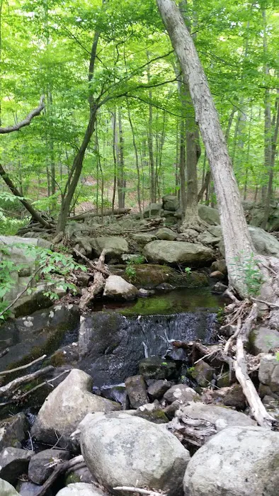 Norvin Green State Forest Picture 8