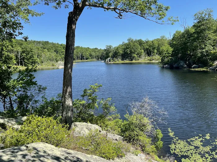 Norvin Green State Forest Picture 6