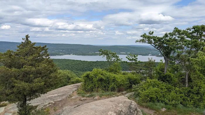 Norvin Green State Forest Picture 7