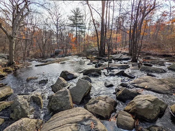 Norvin Green State Forest Picture 3