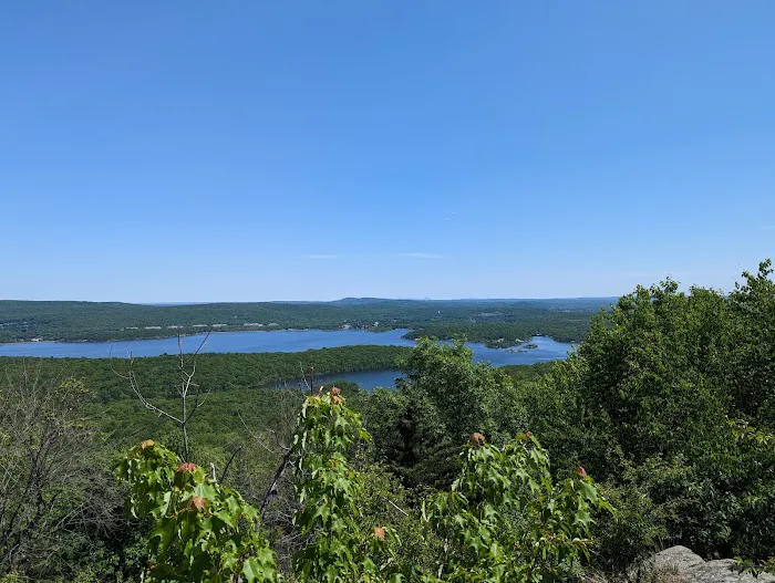Norvin Green State Forest Picture 1