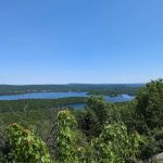 Norvin Green State Forest