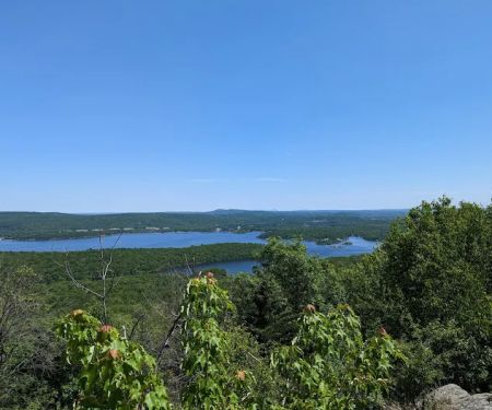 Norvin Green State Forest