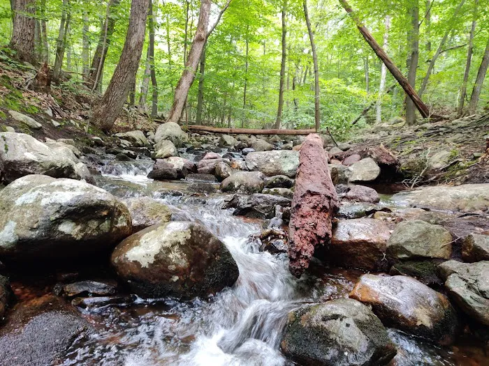 Norvin Green State Forest Picture 2