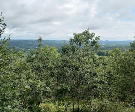 Fuller Mountain Preserve