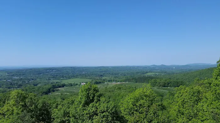 Fuller Mountain Preserve Picture 5