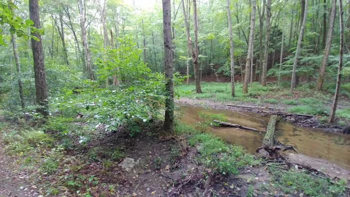 Fuller Mountain Preserve Picture 3