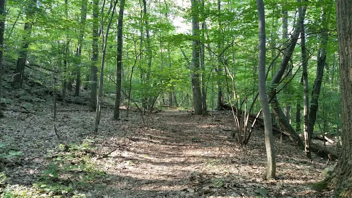 Fuller Mountain Preserve Picture 8