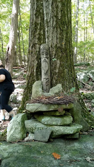 Fuller Mountain Preserve Picture 9