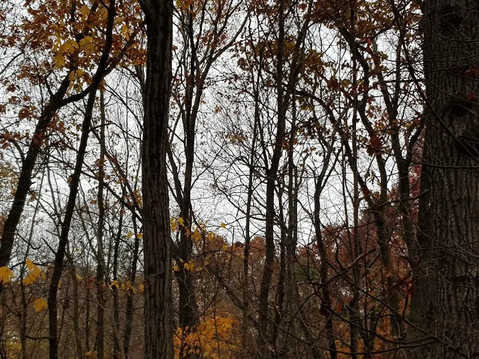 Fuller Mountain Preserve Picture 7