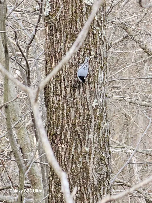 Fuller Mountain Preserve Picture 10
