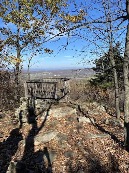 Fuller Mountain Preserve Picture 6