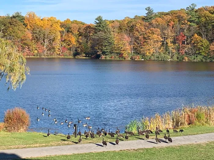 Mountain Lake Park Picture 3