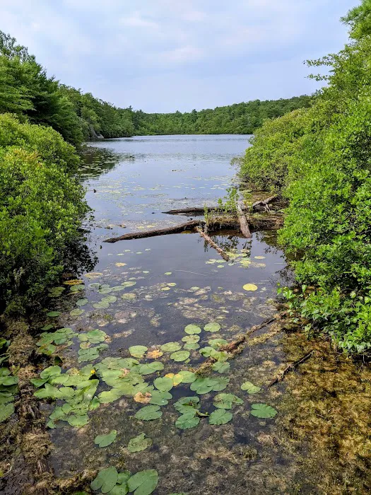 Terrace Pond North (blue trail) Picture 5
