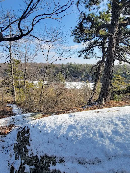 Terrace Pond North (blue trail) Picture 8