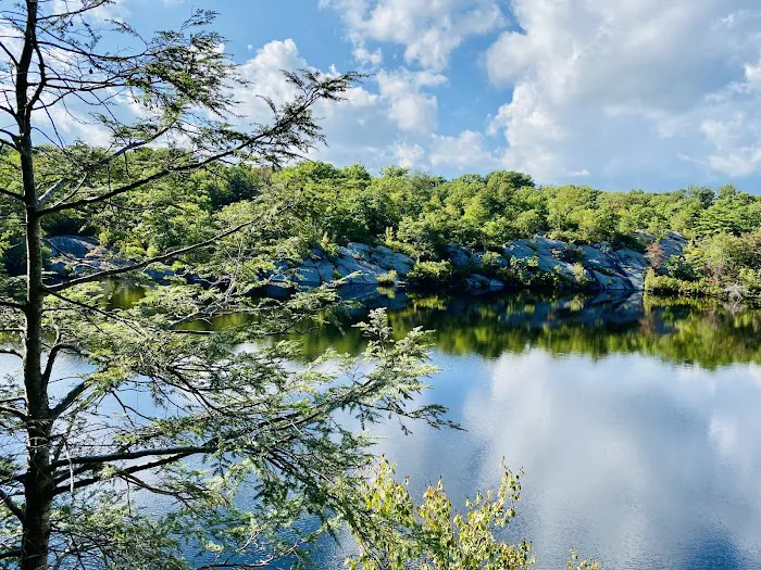 Terrace Pond North (blue trail) Picture 7
