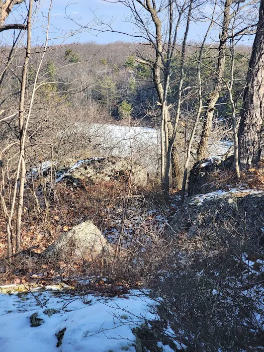 Terrace Pond North (blue trail) Picture 10
