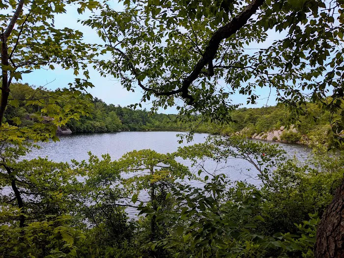 Terrace Pond North (blue trail) Picture 6