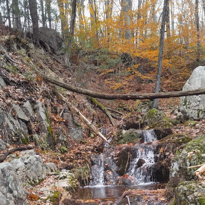 Appalachian Trail Picture 6
