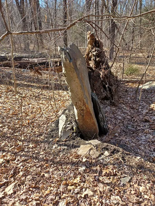 Appalachian Trail Picture 3