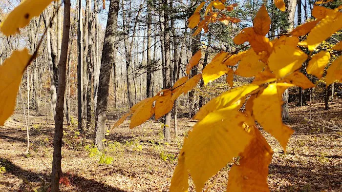 Appalachian Trail Picture 9