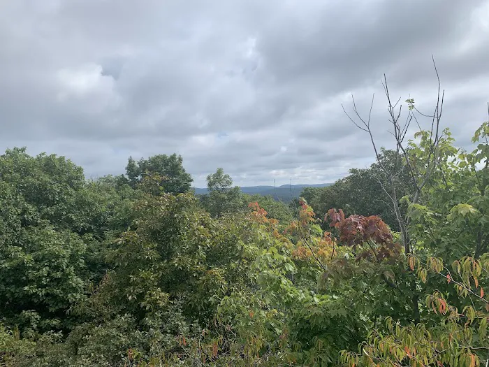 Appalachian Trail Picture 10