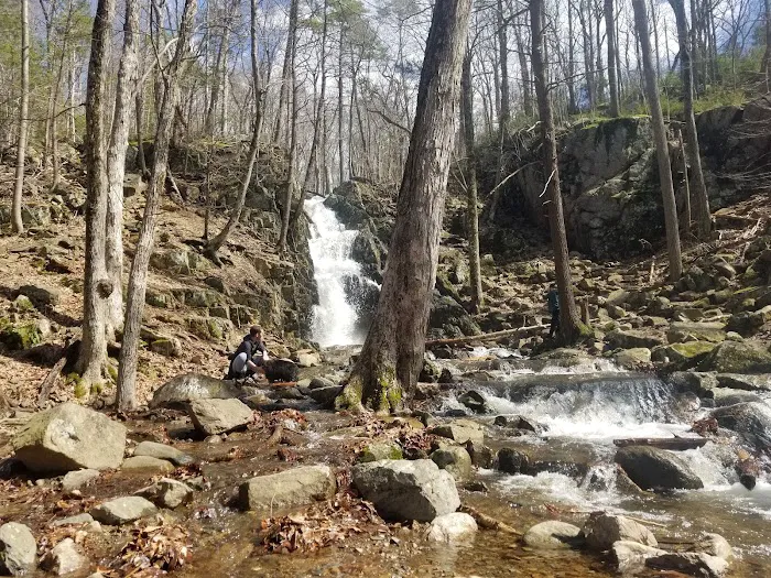 Appalachian Trail Picture 5