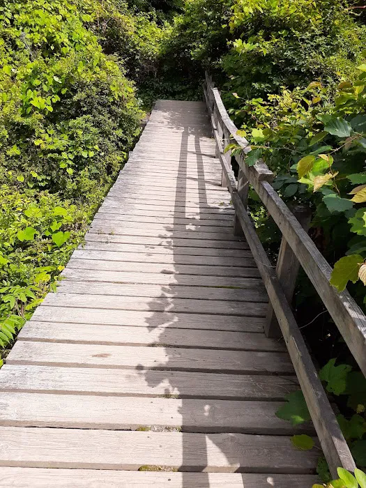 Appalachian Trail Picture 8