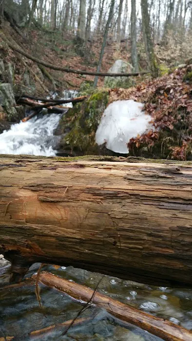 Appalachian Trail Picture 7