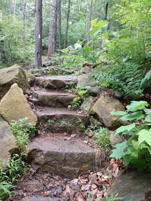 Appalachian Trail Picture 4