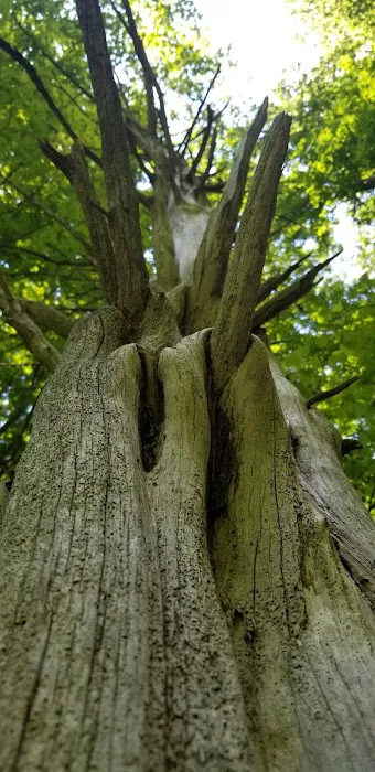Appalachian Trail Picture 1