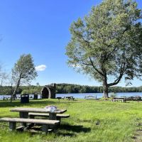 Wickham Woodlands ico